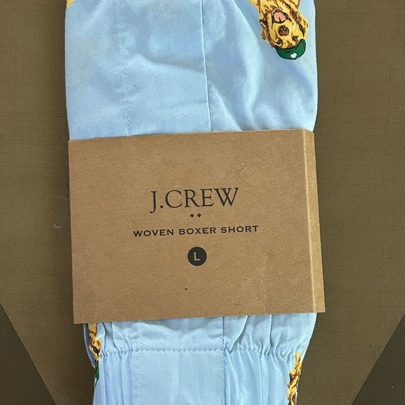 J. Crew Light Blue Boxer Briefs - Picture 1 of 2